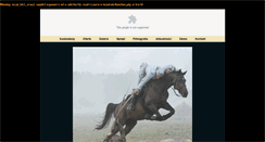 Desktop Screenshot of kaskaderzy.pl