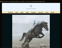 Tablet Screenshot of kaskaderzy.pl